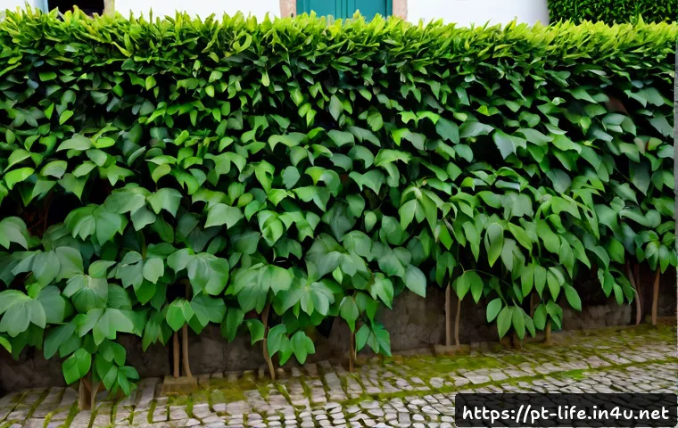 Difusor ultrassônico vale a pena? Vantagens, limites e critérios para escolher 4 초음파 아로마 디퓨저의 장단점 관련 이미지 2
